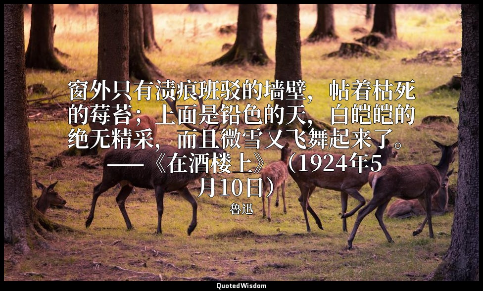 窗外只有渍痕班驳的墙壁，帖着枯死的莓苔；上面是铅色的天，白皑皑的绝无精采，而且微雪又飞舞起来了。 ——《在酒楼上》（1924年5月10日） — 魯迅