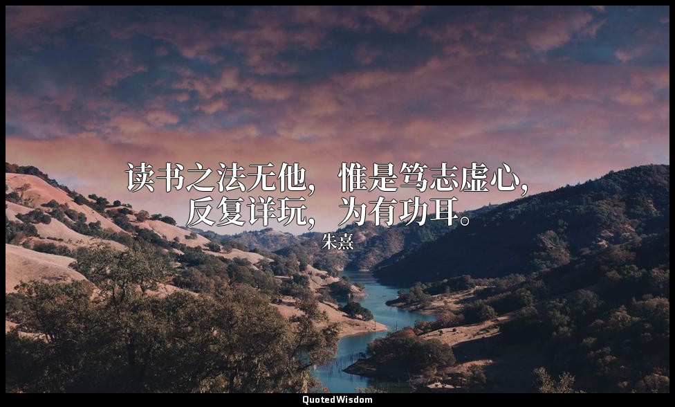 读书之法无他，惟是笃志虚心，反复详玩，为有功耳。 — 朱熹
