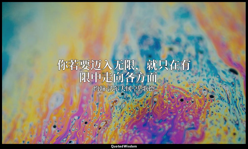 你若要迈入无限，就只在有限中走向各方面。 — 约翰·沃尔夫冈·冯·歌德