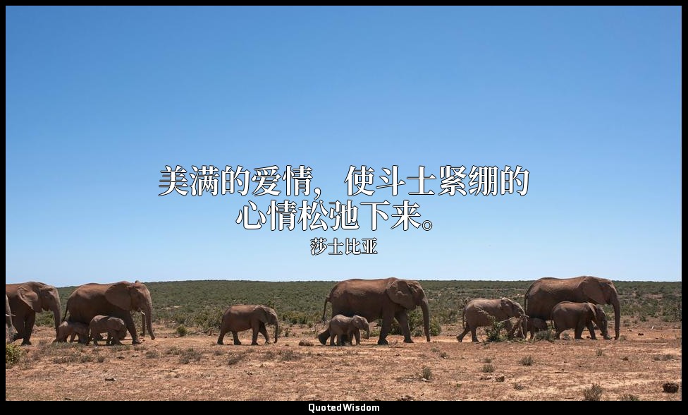 美满的爱情，使斗士紧绷的心情松弛下来。 — 莎士比亚