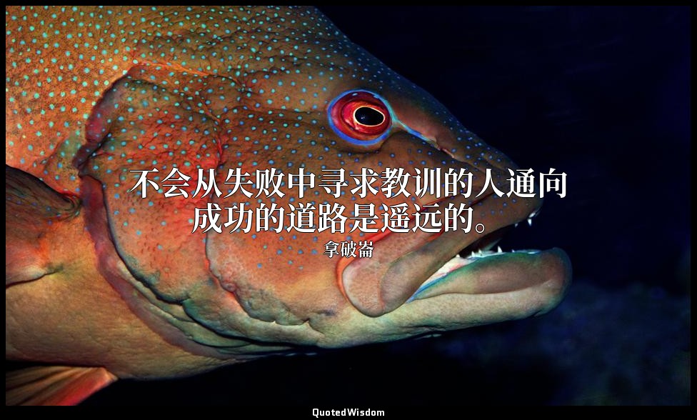 不会从失败中寻求教训的人通向成功的道路是遥远的。 — 拿破崙