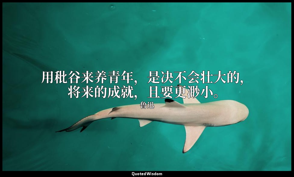 用秕谷来养青年，是决不会壮大的，将来的成就，且要更渺小。 — 鲁迅