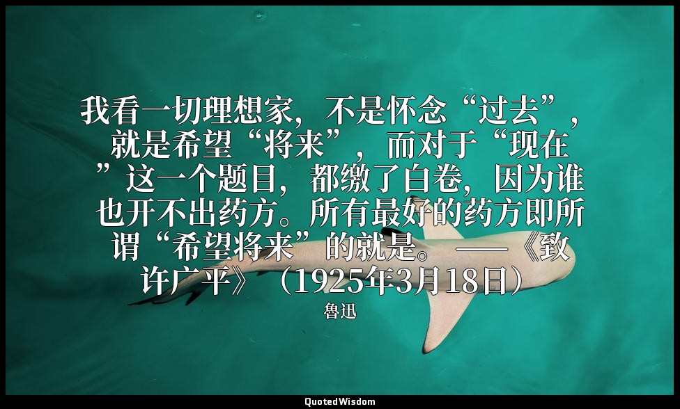 我看一切理想家，不是怀念“过去”，就是希望“将来”，而对于“现在”这一个题目，都缴了白卷，因为谁也开不出药方。所有最好的药方即所谓“希望将来”的就是。 ——《致 — 魯迅