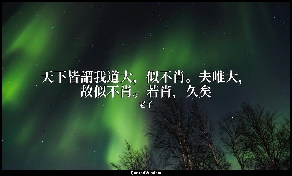 天下皆謂我道大，似不肖。夫唯大，故似不肖。若肖，久矣 — 老子