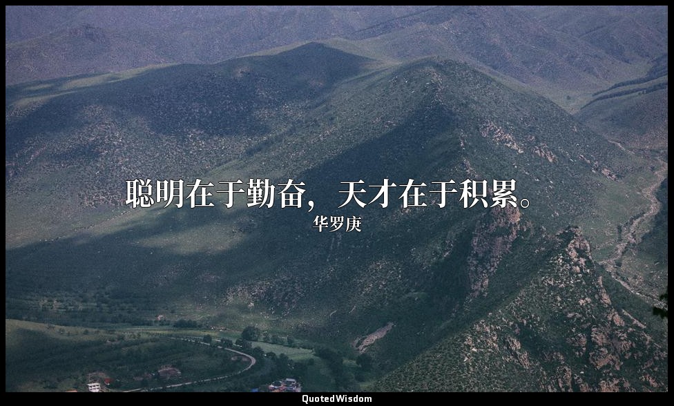 聪明在于勤奋，天才在于积累。 — 华罗庚