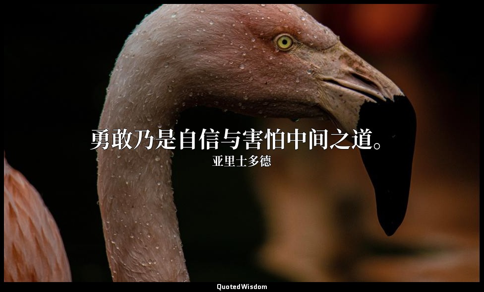 勇敢乃是自信与害怕中间之道。 — 亚里士多德