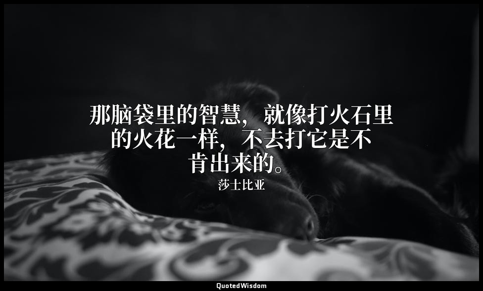 那脑袋里的智慧，就像打火石里的火花一样，不去打它是不肯出来的。 — 莎士比亚