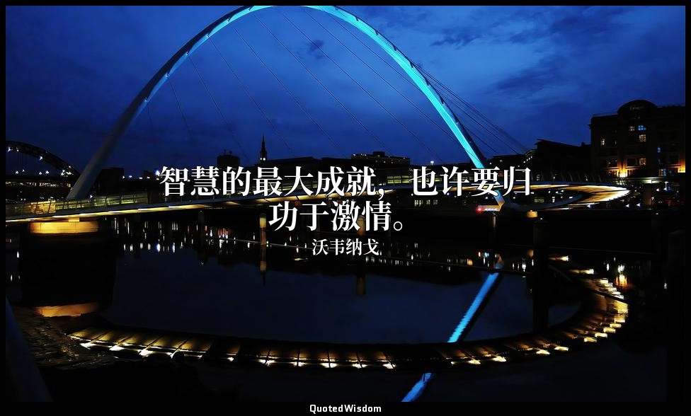 智慧的最大成就，也许要归功于激情。 — 沃韦纳戈