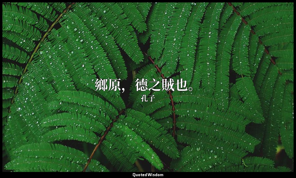 鄉原，德之賊也。 — 孔子