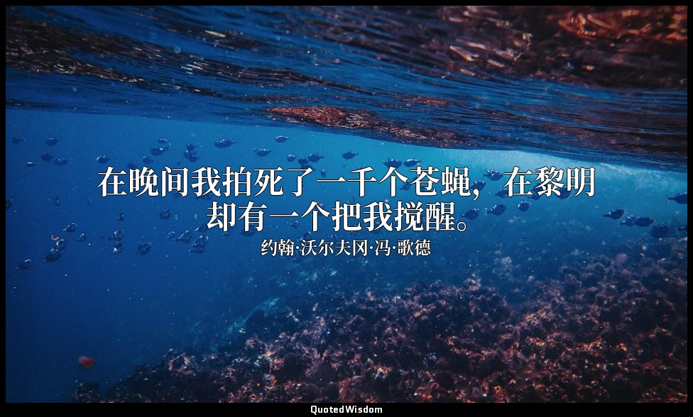 在晚间我拍死了一千个苍蝇，在黎明却有一个把我搅醒。 — 约翰·沃尔夫冈·冯·歌德