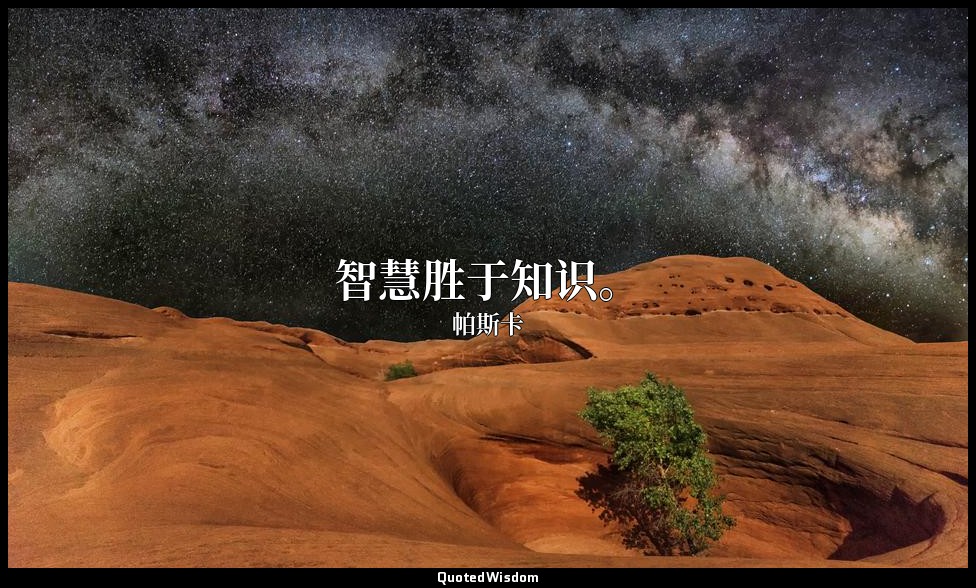 智慧胜于知识。 — 帕斯卡