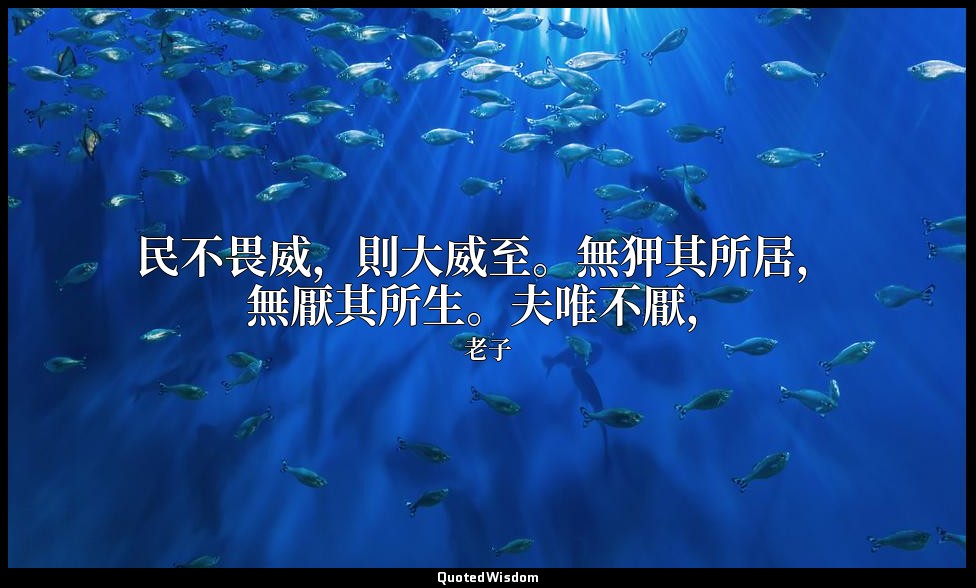 民不畏威，則大威至。無狎其所居，無厭其所生。夫唯不厭， — 老子