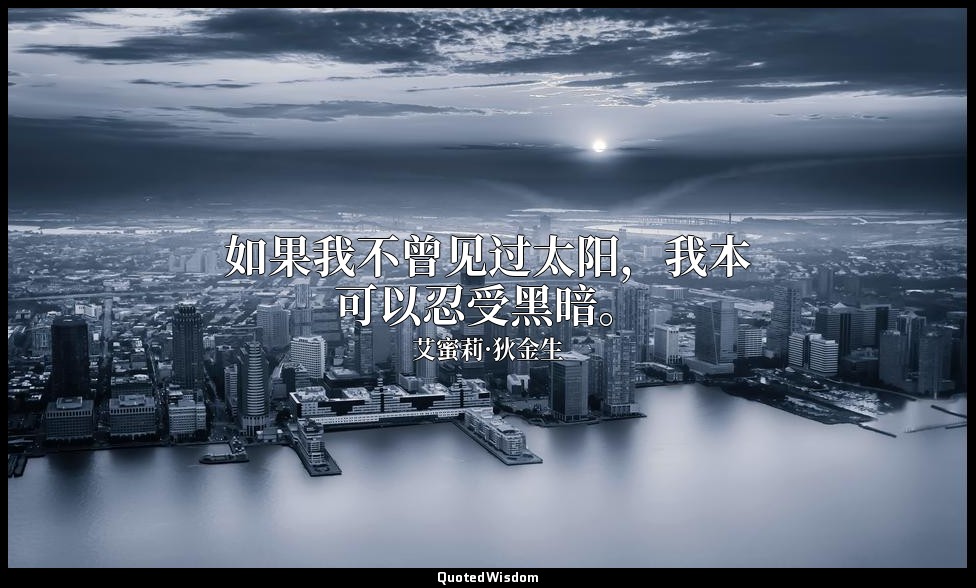 如果我不曾见过太阳，我本可以忍受黑暗。 — 艾蜜莉·狄金生