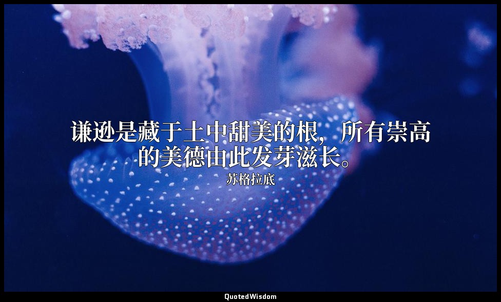 谦逊是藏于土中甜美的根，所有崇高的美德由此发芽滋长。 — 苏格拉底