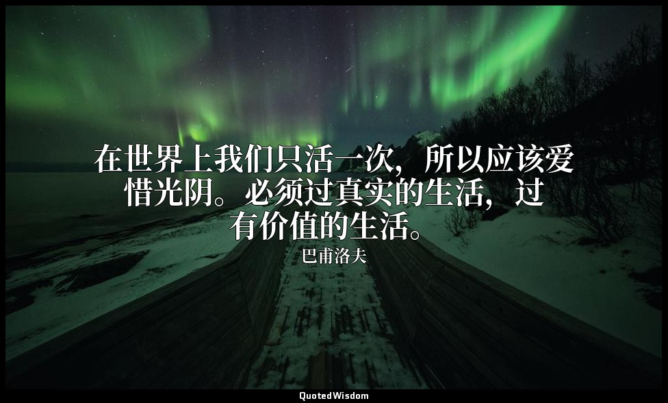 在世界上我们只活一次，所以应该爱惜光阴。必须过真实的生活，过有价值的生活。 — 巴甫洛夫