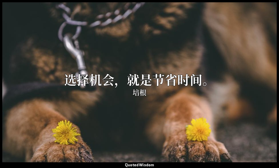 选择机会，就是节省时间。 — 培根