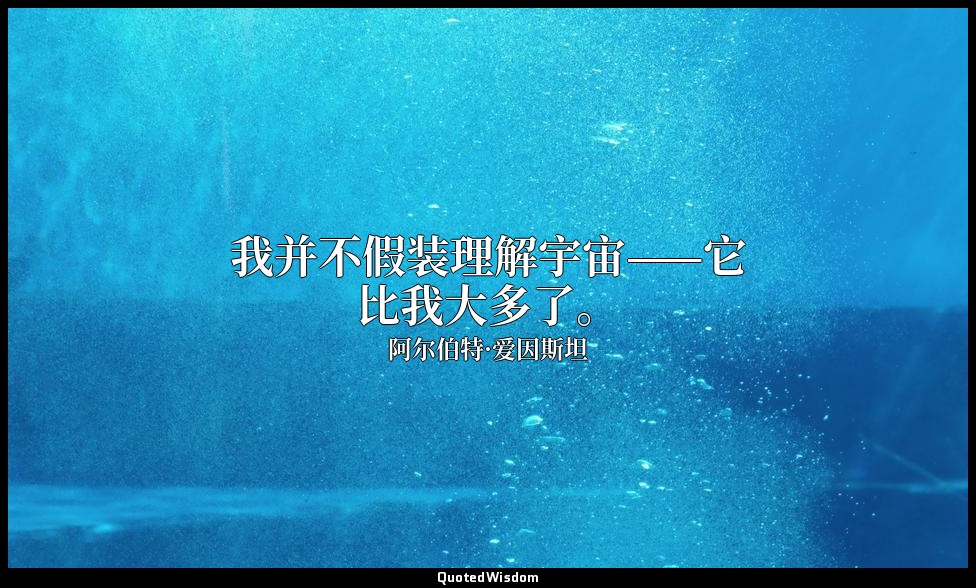 我并不假装理解宇宙——它比我大多了。 — 阿尔伯特·爱因斯坦