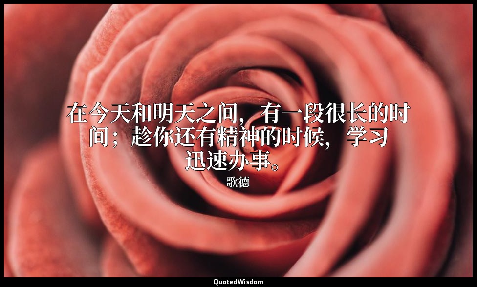 在今天和明天之间，有一段很长的时间；趁你还有精神的时候，学习迅速办事。 — 歌德