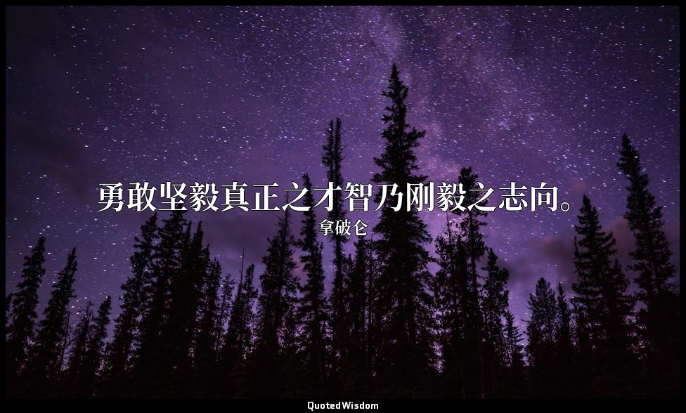 勇敢坚毅真正之才智乃刚毅之志向。 — 拿破仑