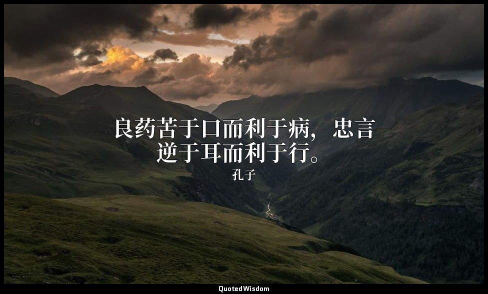 良药苦于口而利于病，忠言逆于耳而利于行。 — 孔子