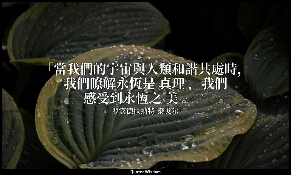 「當我們的宇宙與人類和諧共處時，我們瞭解永恆是 真理 ，我們感受到永恆之 美 。」 — 罗宾德拉纳特·泰戈尔