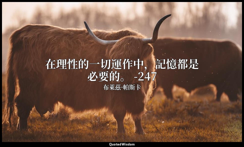 在理性的一切運作中，記憶都是必要的。 -247 — 布萊茲·帕斯卡