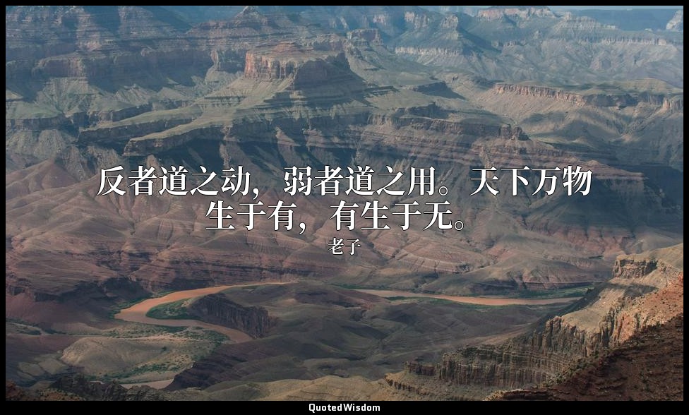反者道之动，弱者道之用。天下万物生于有，有生于无。 — 老子