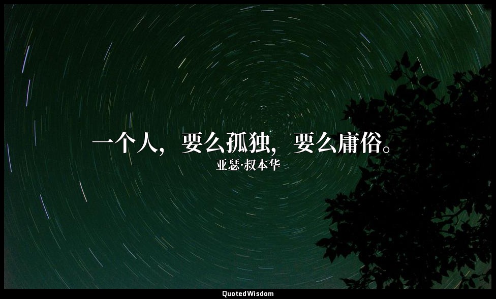 一个人，要么孤独，要么庸俗。 — 亚瑟·叔本华