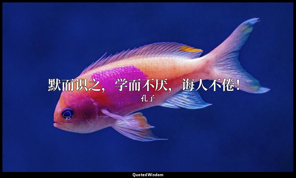 默而识之，学而不厌，诲人不倦！ — 孔子