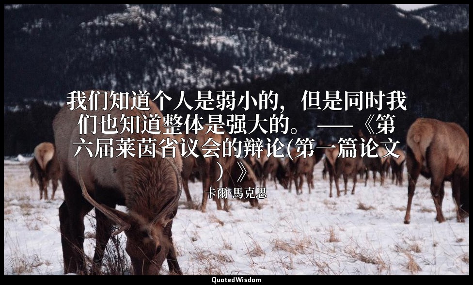 我们知道个人是弱小的，但是同时我们也知道整体是强大的。 ——《第六届莱茵省议会的辩论(第一篇论文）》 — 卡爾·馬克思