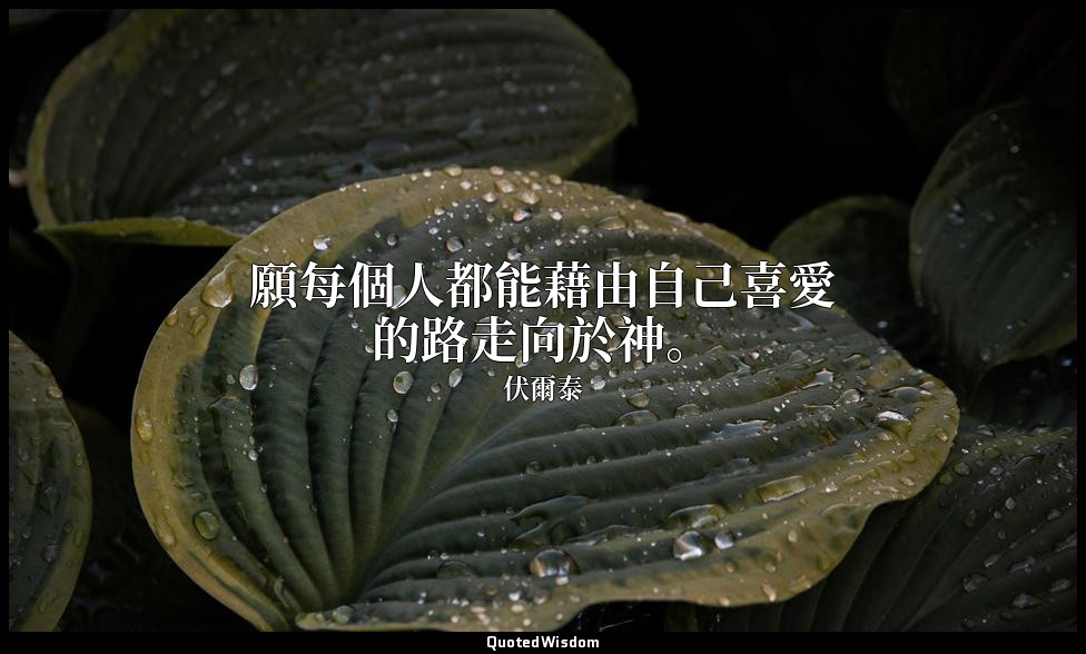 願每個人都能藉由自己喜愛的路走向於神。 — 伏爾泰