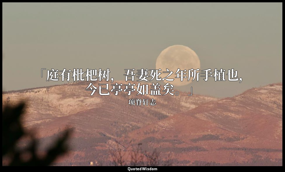 「庭有枇杷树，吾妻死之年所手植也，今已亭亭如盖矣。」 — 项脊轩志