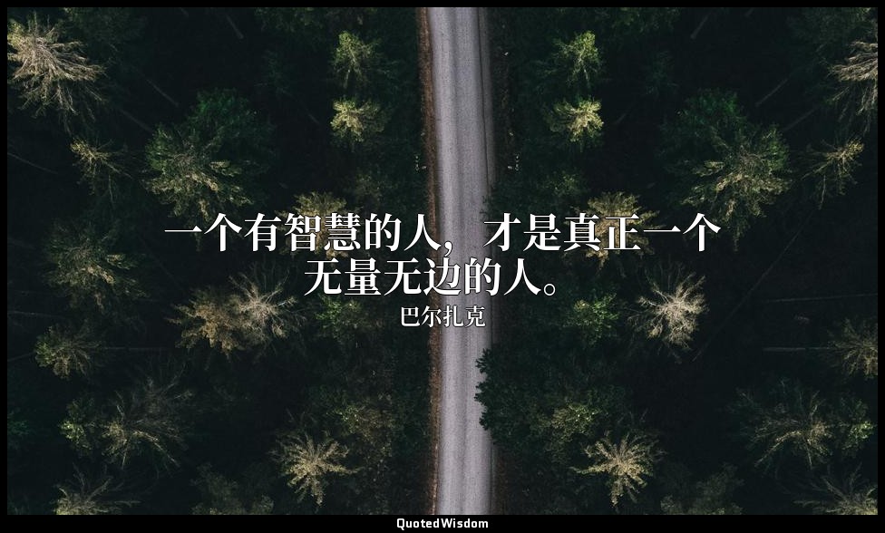 一个有智慧的人，才是真正一个无量无边的人。 — 巴尔扎克