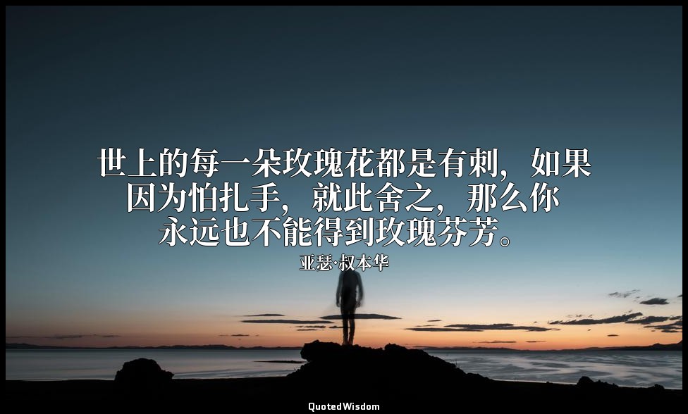 世上的每一朵玫瑰花都是有刺，如果因为怕扎手，就此舍之，那么你永远也不能得到玫瑰芬芳。 — 亚瑟·叔本华
