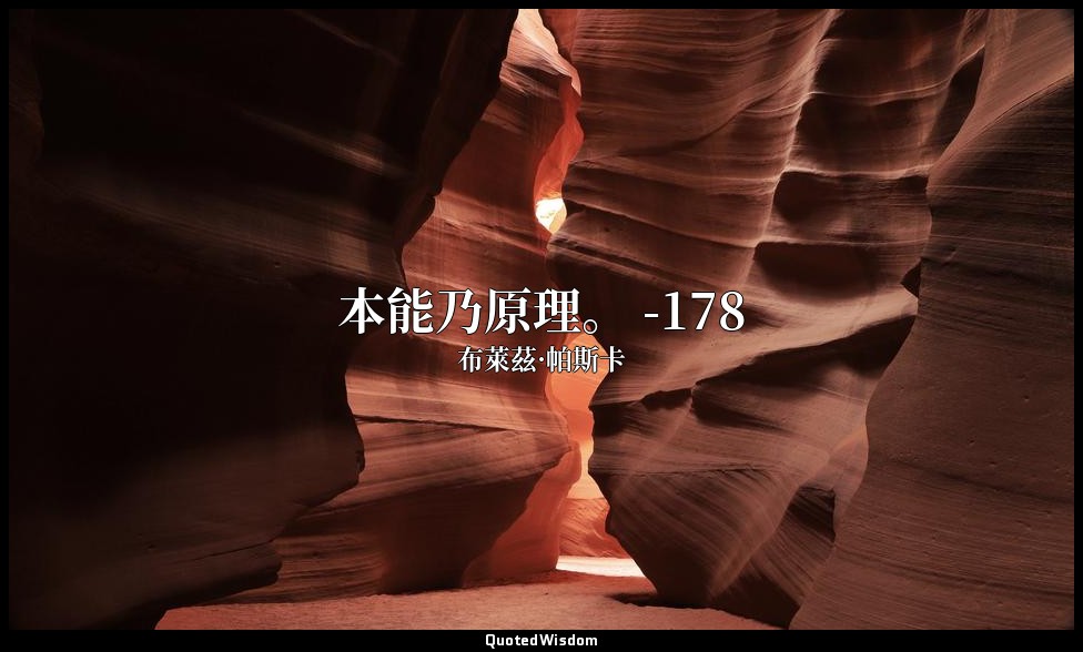 本能乃原理。 -178 — 布萊茲·帕斯卡