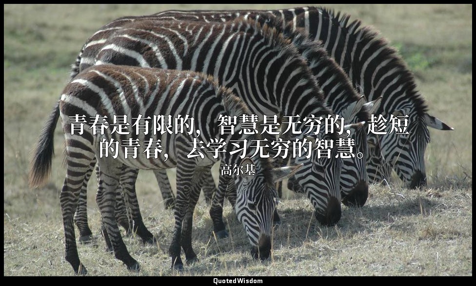 青春是有限的，智慧是无穷的，趁短的青春，去学习无穷的智慧。 — 高尔基