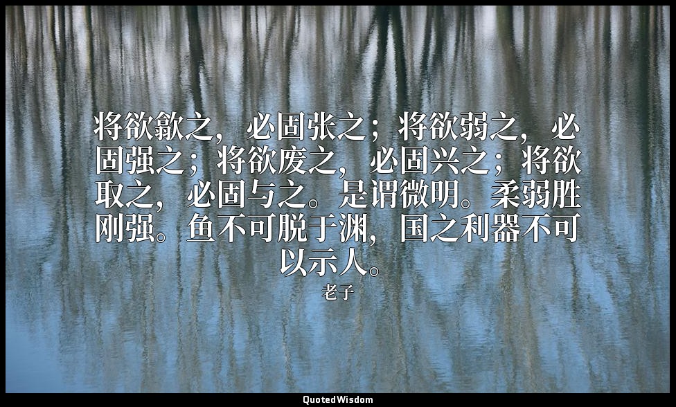 将欲歙之，必固张之；将欲弱之，必固强之；将欲废之，必固兴之；将欲取之，必固与之。是谓微明。柔弱胜刚强。鱼不可脱于渊，国之利器不可以示人。 — 老子