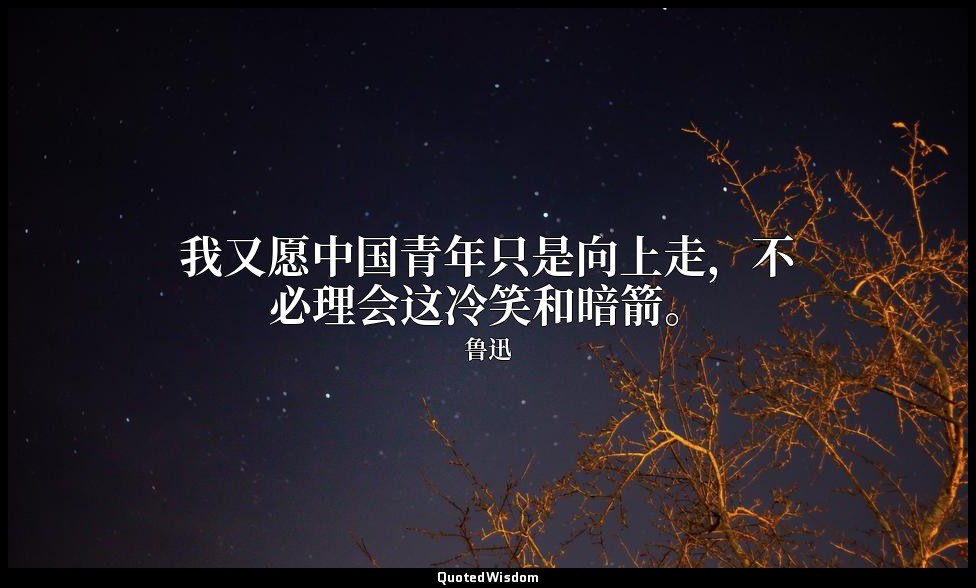 我又愿中国青年只是向上走，不必理会这冷笑和暗箭。 — 鲁迅