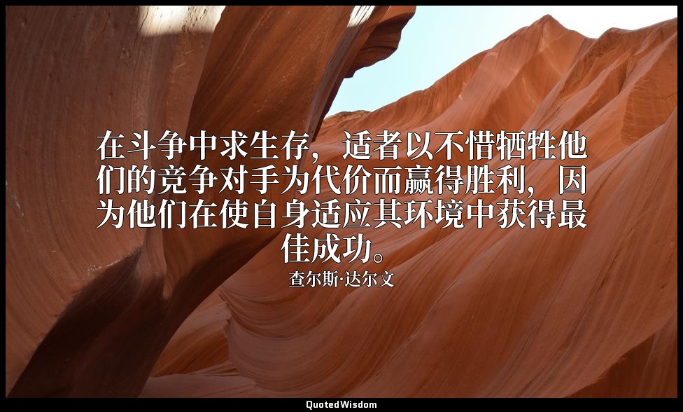 在斗争中求生存，适者以不惜牺牲他们的竞争对手为代价而赢得胜利，因为他们在使自身适应其环境中获得最佳成功。 — 查尔斯·达尔文