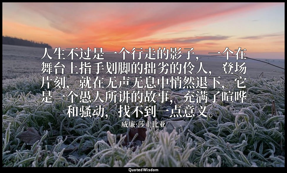 人生不过是一个行走的影子，一个在舞台上指手划脚的拙劣的伶人，登场片刻，就在无声无息中悄然退下，它是一个愚人所讲的故事，充满了喧哗和骚动，找不到一点意义。 — 威廉·莎士比亚