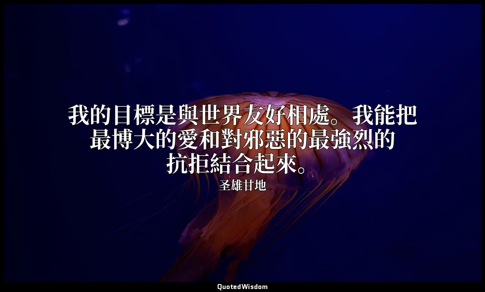 我的目標是與世界友好相處。我能把最博大的愛和對邪惡的最強烈的抗拒結合起來。 — 圣雄甘地