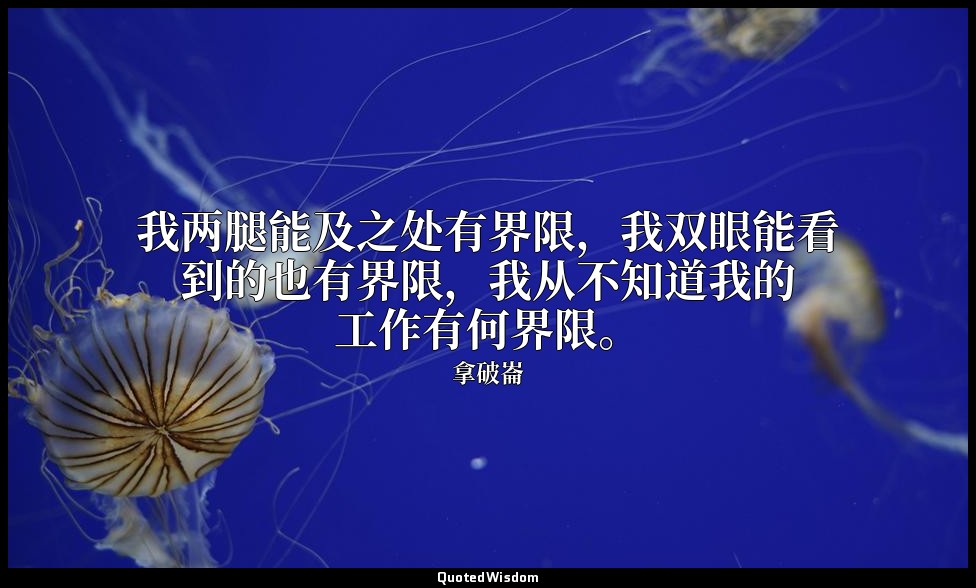 我两腿能及之处有界限，我双眼能看到的也有界限，我从不知道我的工作有何界限。 — 拿破崙