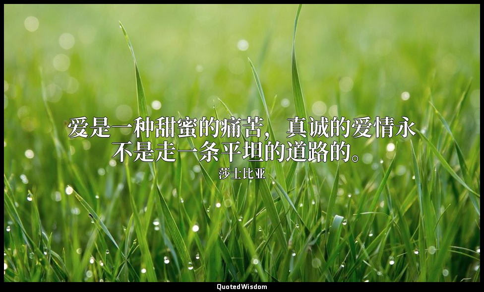 爱是一种甜蜜的痛苦，真诚的爱情永不是走一条平坦的道路的。 — 莎士比亚