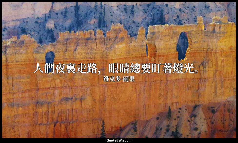 人們夜裏走路，眼睛總要盯著燈光。 — 维克多·雨果