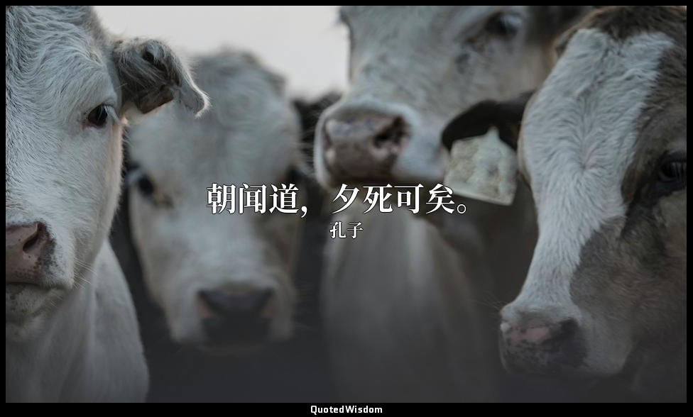 朝闻道，夕死可矣。 — 孔子
