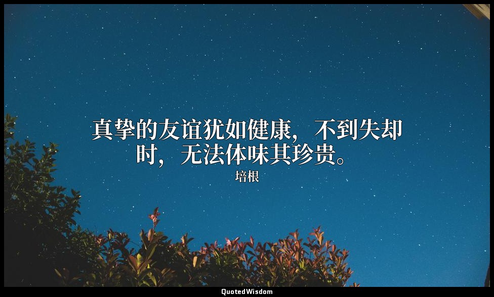 真挚的友谊犹如健康，不到失却时，无法体味其珍贵。 — 培根