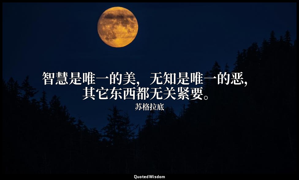 智慧是唯一的美，无知是唯一的恶，其它东西都无关紧要。 — 苏格拉底