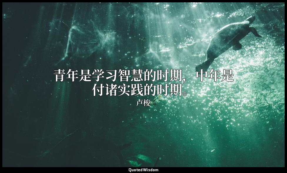 青年是学习智慧的时期，中年是付诸实践的时期。 — 卢梭