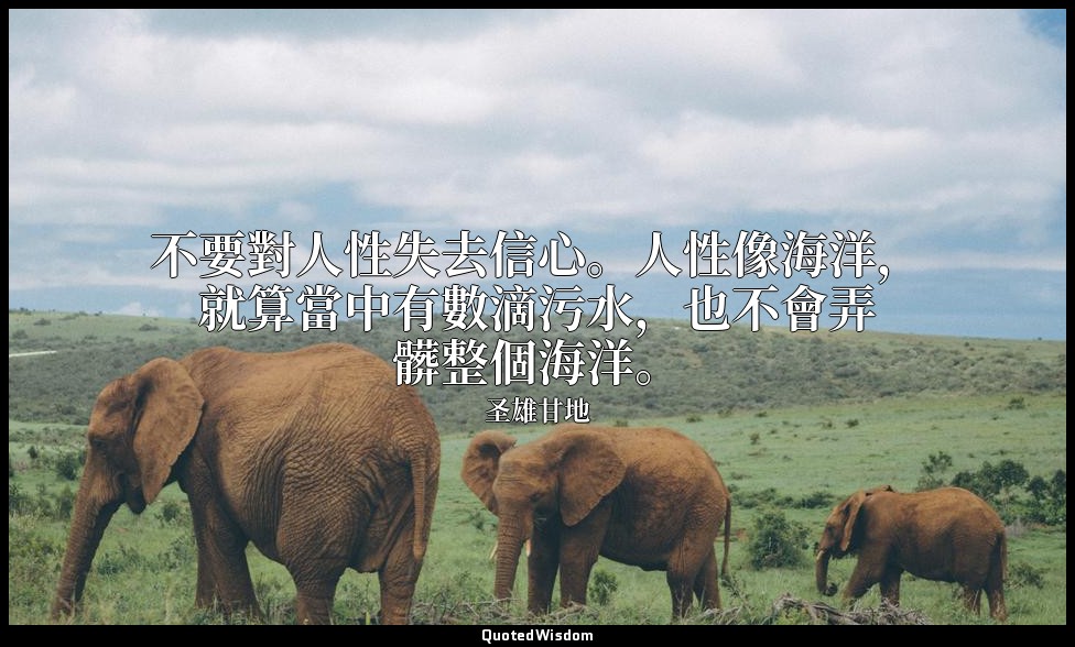 不要對人性失去信心。人性像海洋，就算當中有數滴污水，也不會弄髒整個海洋。 — 圣雄甘地