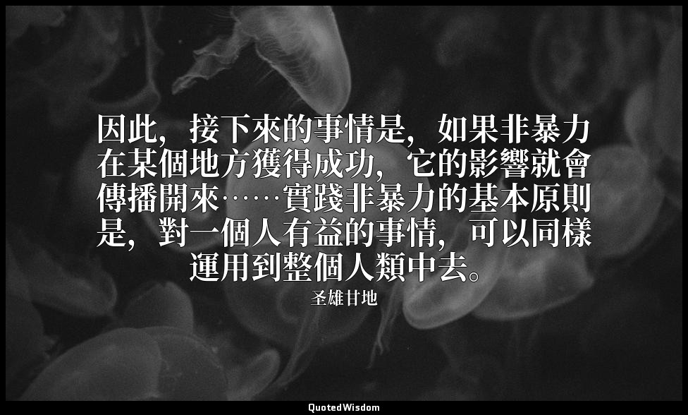 因此，接下來的事情是，如果非暴力在某個地方獲得成功，它的影響就會傳播開來……實踐非暴力的基本原則是，對一個人有益的事情，可以同樣運用到整個人類中去。 — 圣雄甘地